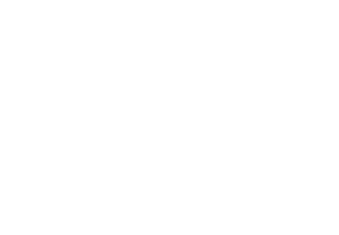 Jelly Bongo Store